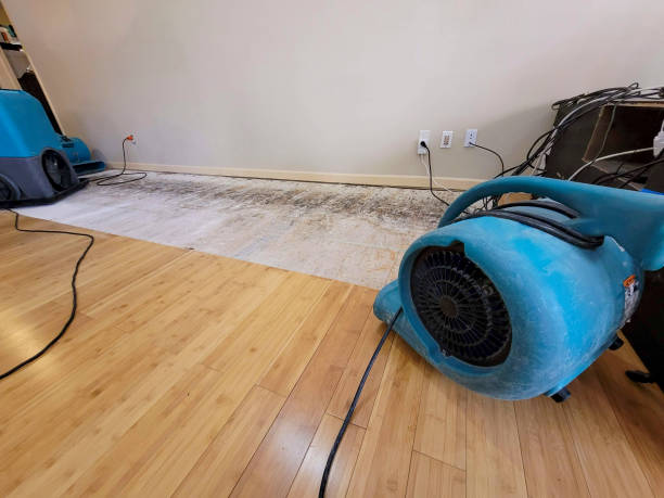 Professional Water Damage Repair technician working in Hernando, FL